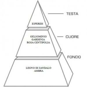 Jasmine - immagine 3