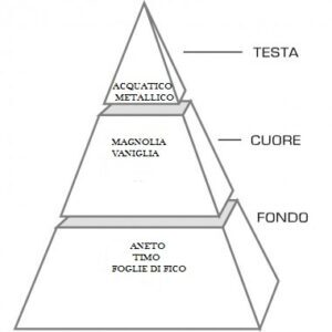 Via dei Calzaiuoli - immagine 3