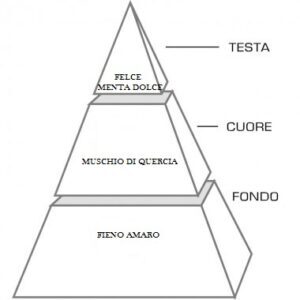 Via della Vigna - Image 3